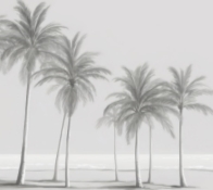 Фотошпалери Чорно-білі пальми на березі моря Nru98763 купити на замовлення  в інтернет-магазині